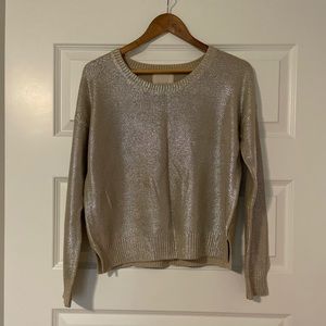 Shimmery Sweater